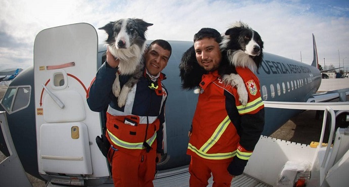 Rescue dogs helping search for survivors in Turkey